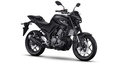 Yamaha MT-25 2025